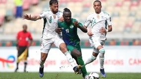 台钢雄鹰用 台钢雄鹰用